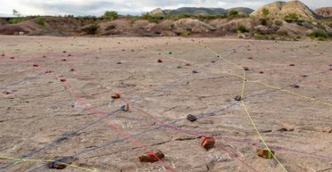 Уникальная находка в Боливии раскрыла поведение динозавров: ученые нашли 18 тысяч следов