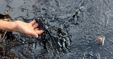 Мазут с российских танкеров приближается к еще одному украинскому городу: что известно (фото)