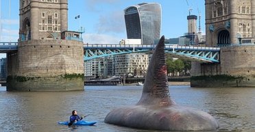 "Це щось грандіозне": акули-мегалодони "повернулися" в британські води (фото)