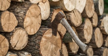 Сколько дров можно заготавливать украинцам на отопительный сезон: адвокат объяснил