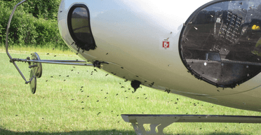 "Шукали новий дім": 10 000 бджіл на рятувальному вертольоті не давали йому злетіти (фото)