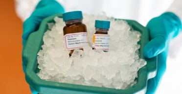 Створено антивіковий коктейль: він подовжує життя на 30%, але і це не найголовніше