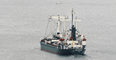 Россияне украли партию семян украинского подсолнечника и продали ее туркам, — расследование