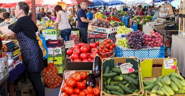 Салатный вопрос. Почему Украина летом 2022 рискует остаться без собственных овощей