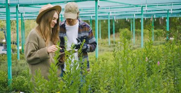 Пенсія не для всіх. Чи можна отримати в Україні стаж, якщо основне місце роботи — за кордоном