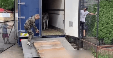 Россияне вывозят из заповедника "Аскания-Нова" экзотических животных в частные коллекции