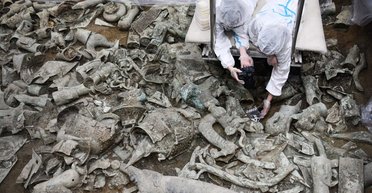 Пытались общаться с феями. В Китае обнаружили статуэтки с мифическими существами