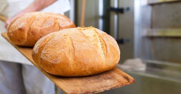 Молодой дружный коллектив. Как чувствуют себя на рынке труда те, кому за 40