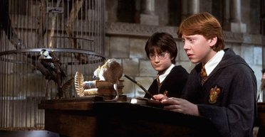 Руперта Гринта, Рона из "Гарри Поттера", раскритиковали за плату с фанатов