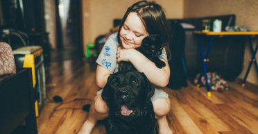 Ветеринари назвали 5 найкращих порід собак для тих, у кого вдома є коти (фото)