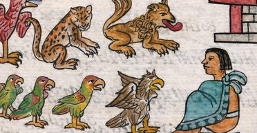 Зоопарк правителя ацтеков: новое исследование раскрыло прошлое Теночтитлана (фото)