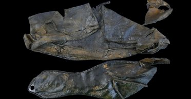 Такого еще не находили: археологи обнаружили неожиданный клад в Осло