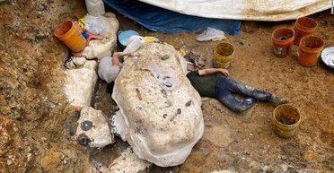 Тысяча мелких зубов и 4 тонны живого веса: в США нашли останки утконосого динозавра (фото)