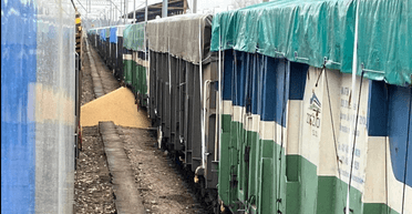 На роковини вторгнення: у Польщі знову висипали українську агропродукцію (фото)