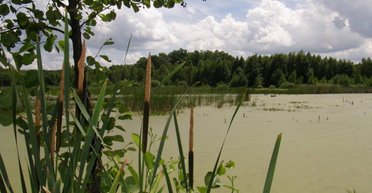 "Аквапарк" на Черниговщине. Реки, озера и краснокнижные виды Ичнянского национального парка