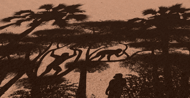 Ученые выяснили, что древнейший предок человека начал ходить еще 7 миллион лет назад