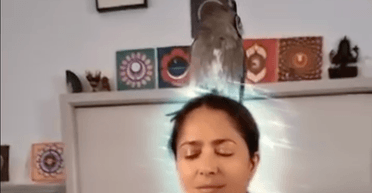 Сальма Хаєк показала, як медитує із совою на голові (відео)