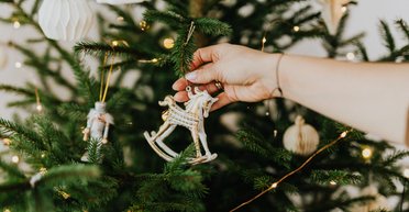 От 130 до 2000 грн: в Украине начались продажи елок, где купить новогоднее дерево