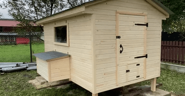 "Можно самому жить": мужчина из Львова разорвал интернет, показав свой курятник (фото)