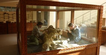 Неопровержимые доказательства: ученые узнали, что 300 000 лет назад люди делали со слонами (фото)