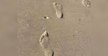 Неожиданная оптическая иллюзия поставила в ступор сеть: что видно на самом деле (видео)