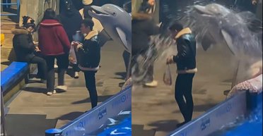 "Бросай курить": белуга "погасила" мужчину и отучила его от вредной привычки (видео)