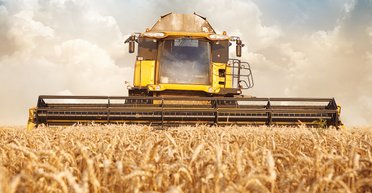 Хлебом накормим. Сумеют ли аграрии удержать гривну от девальвации