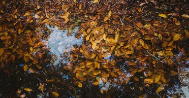 Похолодание до +3 и местами дожди: прогноз погоды на выходные