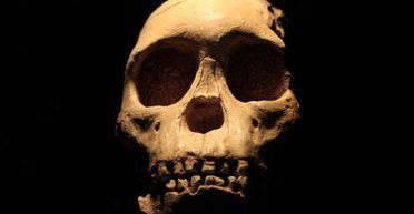 Ученые рассказали, сколько на самом деле человеческих видов существовало на Земле