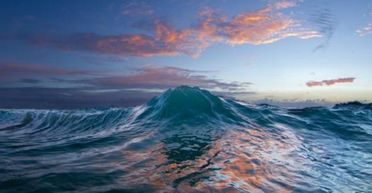 Жінка пірнала в океані й побачила під водою неймовірну істоту: що це таке (фото, відео)