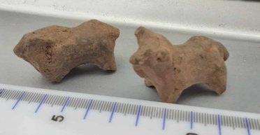 Нашли в Украине: археологи раскопали уникальные артефакты железного века в Ивано-Франковской области (фото)