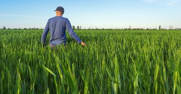 Цена обетованная. Что ждет владельцев паев после запуска рынка земли