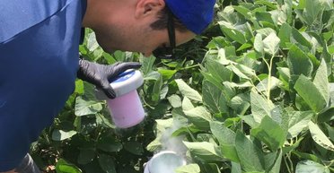 Час розкидати каміння: перетертий щебінь на полях вирішує проблему викидів CO2