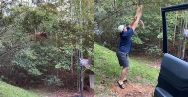 Мужчина хотел спасти кота, но курьеза с падением пушистого было не избежать (видео)