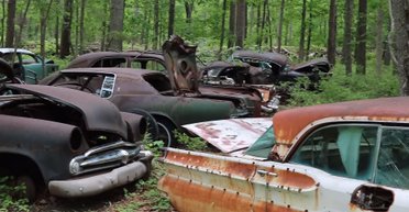 Раритеты в лесу: в США обнаружили огромное кладбище ретро-авто (фото, видео)