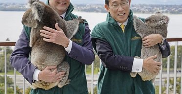 Токіо та Канберра проти Пекіна? Чого чекати від союзу Японії та Австралії