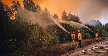Пойдет на Беларусь: эколог рассказал о пожарах, дыме и радиации в Чернобыльской зоне (фото)