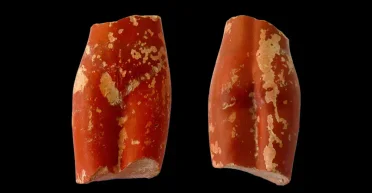 Проникла в римский пантеон: в Испании археологи случайно обнаружили следы религиозного культа