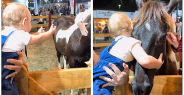 Самая теплая сцена дня: объятия малыша с лошадью покорили сеть (видео)