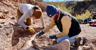 Єдиний у своєму роді: туристи знищили бивень мамонта віком 10 000 років
