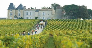 Бордосская демократия. Как вино опять стало просто вином