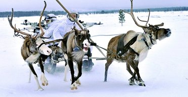 Запугать Европу, обмануть Трампа, купить Китай: что задумал Путин в Арктике