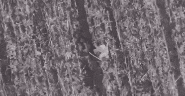 Потеряли 800 000: российский "батальон на костылях" становится легкой мишенью ВСУ, — Forbes