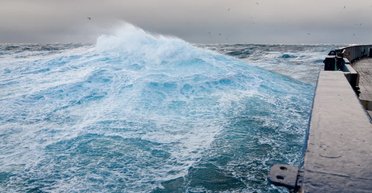 Моряки рассказывали об этом веками: ученые подтвердили древнюю морскую легенду