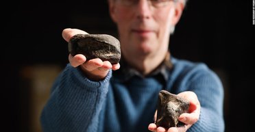 Школьный учитель нашел на пляже кости динозавра, впервые обнаруженные в Ирландии