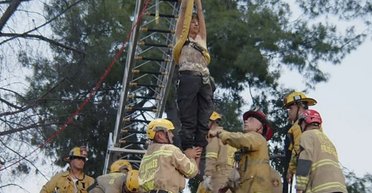 Женщина почувствовала себя Санта-Клаусом и полезла в дымоход: чем закончилась ночная выходка (видео)
