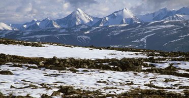 Осталось недолго. Ученые утверждают, что сибирская тундра вскоре исчезнет