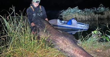 "Найбільша в історії": чоловік витягнув з річки рекордну рибу завдовжки 2,4 метра (фото)