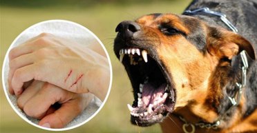 В Салтовском районе Харькова ввели карантин: в чем причина