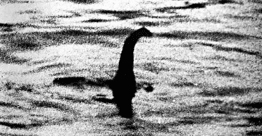 "Сердце подпрыгнуло": мужчина утверждает, что смог увидеть Лох-Несское чудовище (фото)